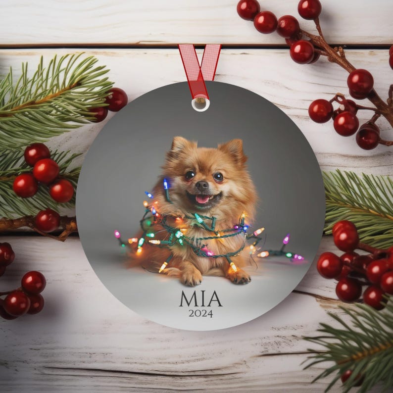 Round Christmas ornament.  Ornament has a Pomeranian wrapped in colorful Christmas lights.  Mia 2024 is at the bottom of the ornament.