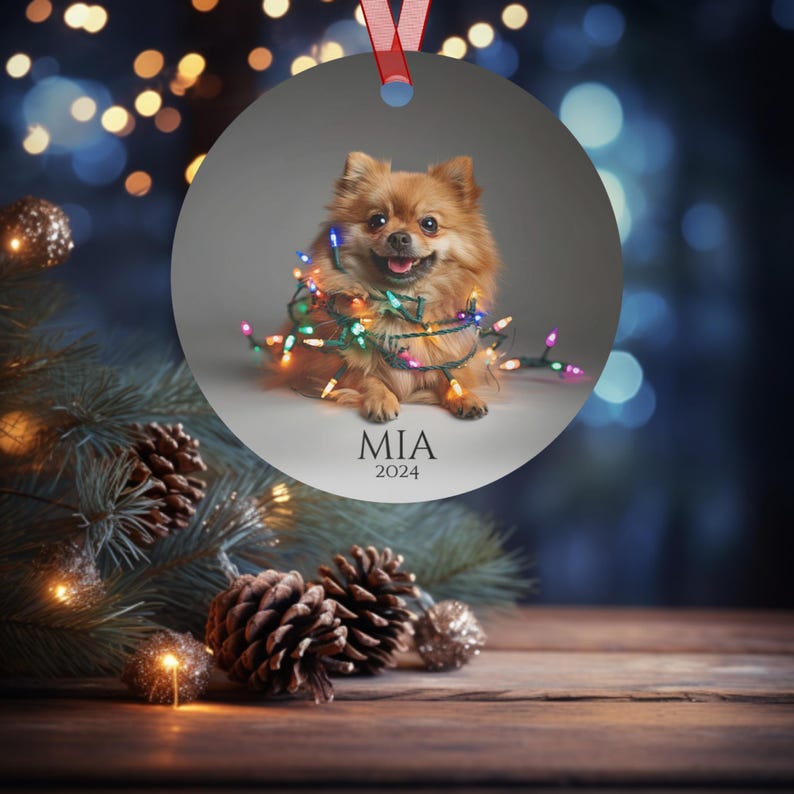 Round Christmas ornament.  Ornament has a Pomeranian wrapped in colorful Christmas lights.  Mia 2024 is at the bottom of the ornament.