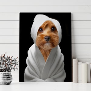 May include: A brown and white dog wearing a white towel like a robe. The dog is looking directly at the camera.