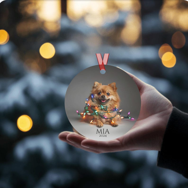 Round Christmas ornament.  Ornament has a Pomeranian wrapped in colorful Christmas lights.  Mia 2024 is at the bottom of the ornament.