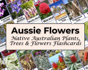 Australian Flora Flashcards – Printable PDF for Children & Educators