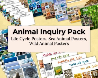 Animal Inquiry Pack – Animals, Habitats & Life Cycles Learning Resource Early Childhood