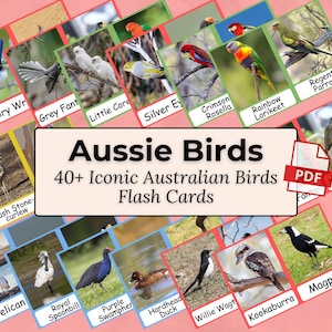 Può includere: Una collezione di flashcard con vari uccelli australiani, tra cui Fairy Wren, Grey Fantail e Crimson Rosella. Le carte sono disposte su uno sfondo rosa, con il titolo "Aussie Birds" e il testo "40+ Iconic Australian Birds Flash Cards".