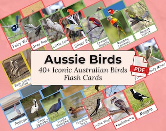 Australian Birds - Printable PDF Flashcard Set