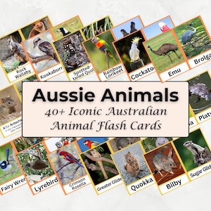 Cartões de memória de animais australianos – PDF para impressão para crianças e educadores