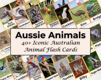 Australian Animals Flashcards – Printable PDF for Children & Educators