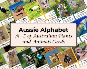 Australian Wildlife A-Z Flash Cards – Fun & Educational for Early Years Learning Children
