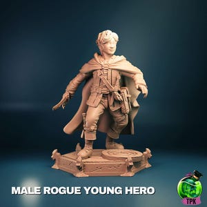 Male Young Rogue / 32mm or 75mm scale /  D&D / RPG - TPK Labs Licensed Printing