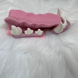 Toony Canine Headbase Accessories zdjęcie 6