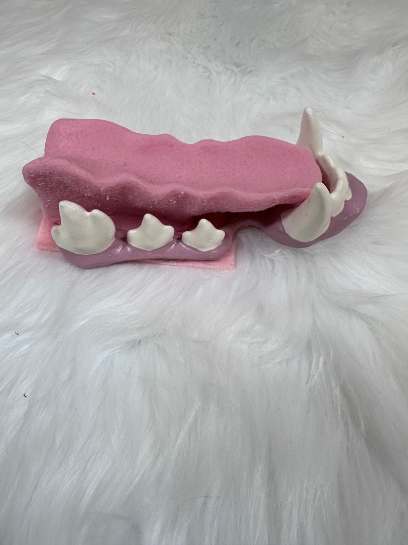 Toony Canine Headbase Accessories zdjęcie 6