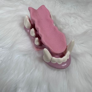 Toony Canine Headbase Accessories zdjęcie 5