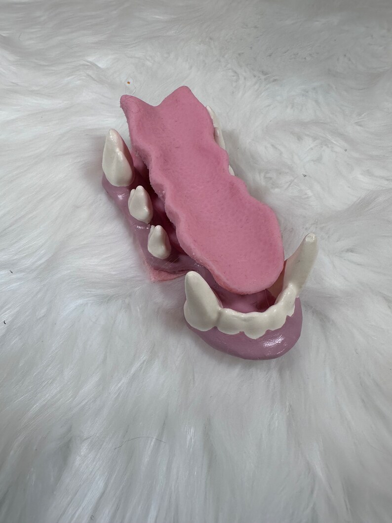 Toony Canine Headbase Accessories zdjęcie 5