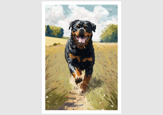 Rottweiler running cheap