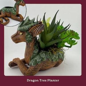Dragon Tree Planter