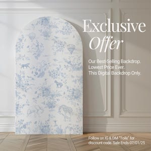 Toile de jouy achtergrond elegante blauwe bloemen toile baby shower decor safari chinoiserie heteluchtballon toile partij prop digitale download