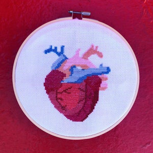 Anatomical Heart PDF Cross Stitch Pattern