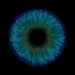 EyeStitch
