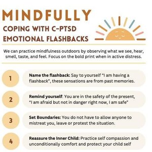 May include: A white infographic with the title "Mindfully Coping with C-PTSD Emotional Flashbacks." The graphic lists seven steps to manage flashbacks, including naming the flashback and reassuring yourself of safety. A sun illustration is at the top.