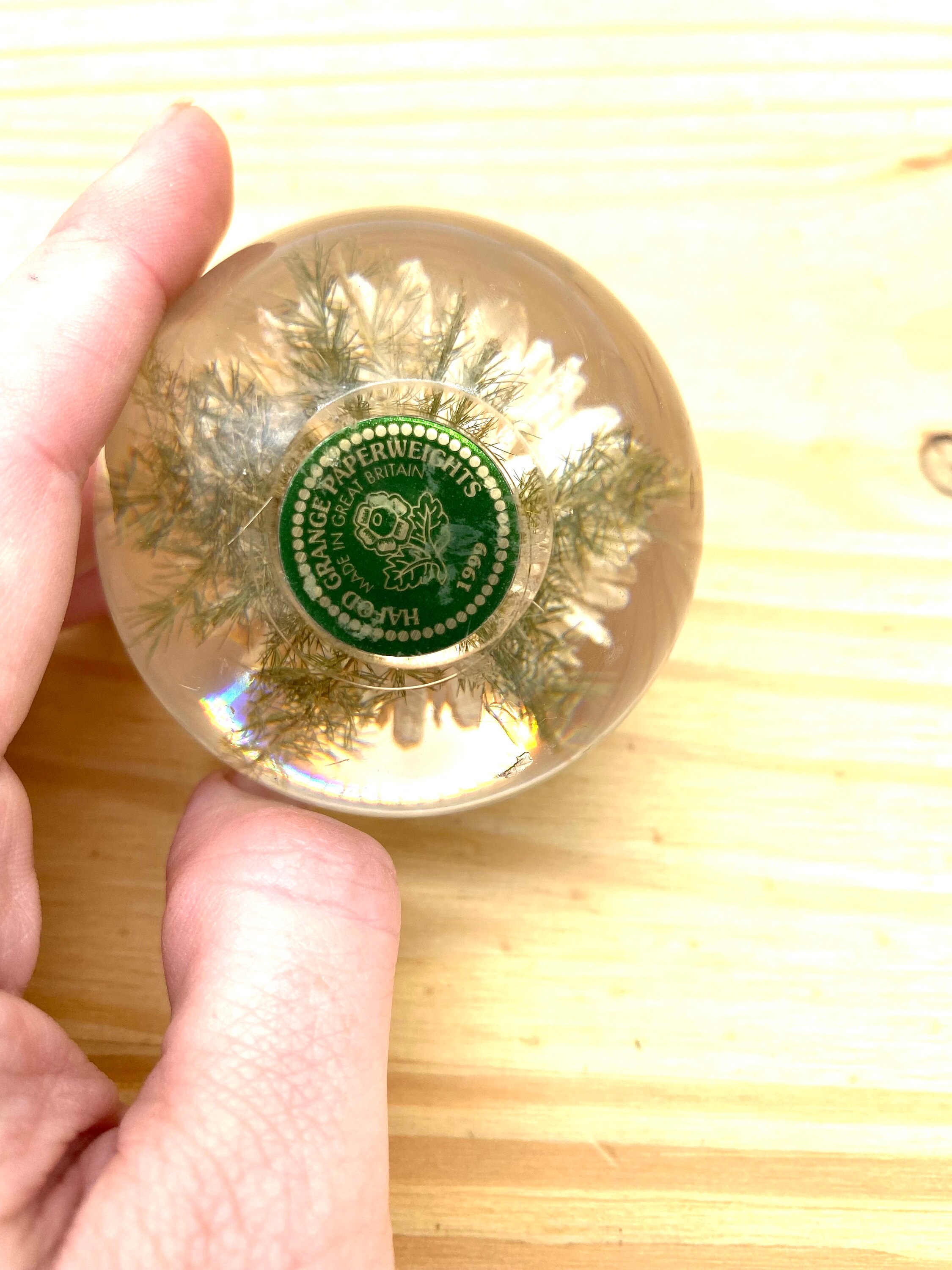 Vintage Hafod Grange Paperweight Ball White Dandelion Flower