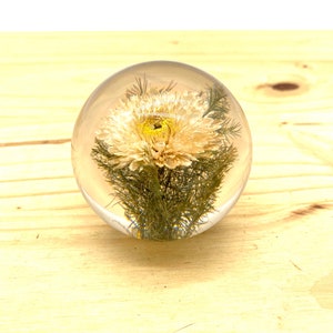 アンティーク雑貨 90s VINTAGE HAFOD GRANGE PAPERWEIGHTS L Vintage Hafod Grange Paperweight Lucite resin with Heather