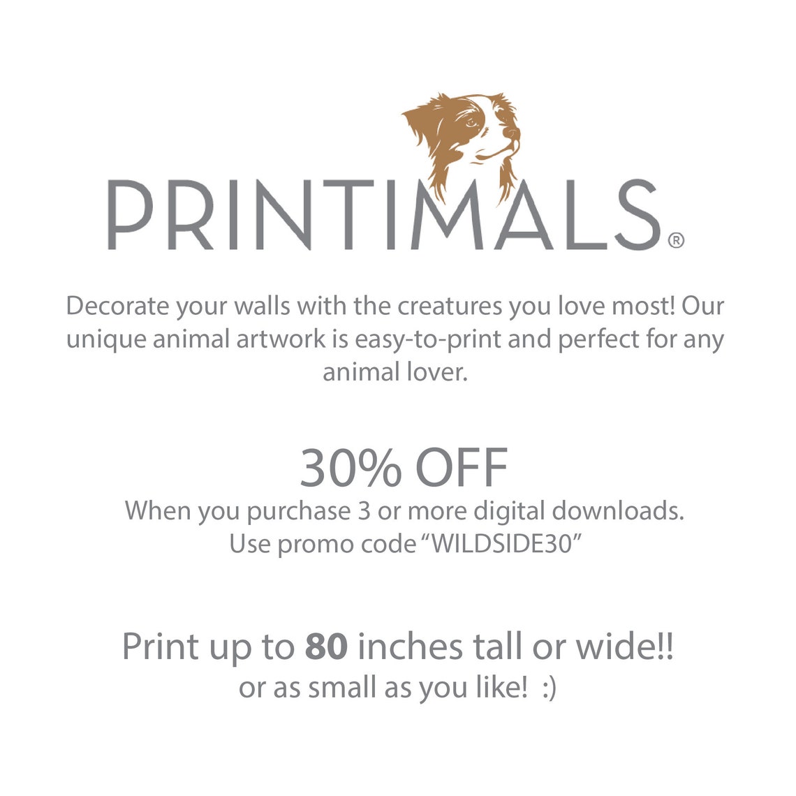 Elephant Printable, Elephant Print, Elephant Poster, Elephant, Wall Art ...