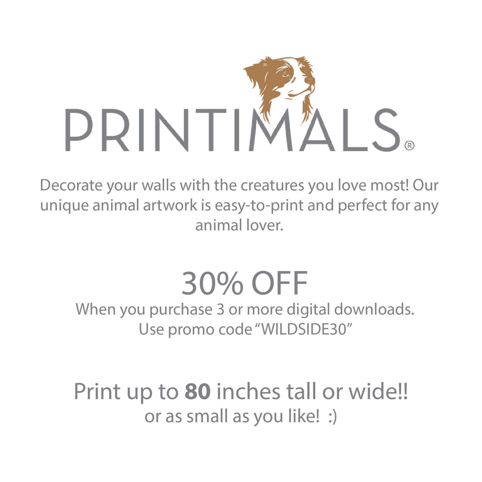 Elephant Printable, Elephant Print, Elephant Poster, Elephant, Wall Art ...