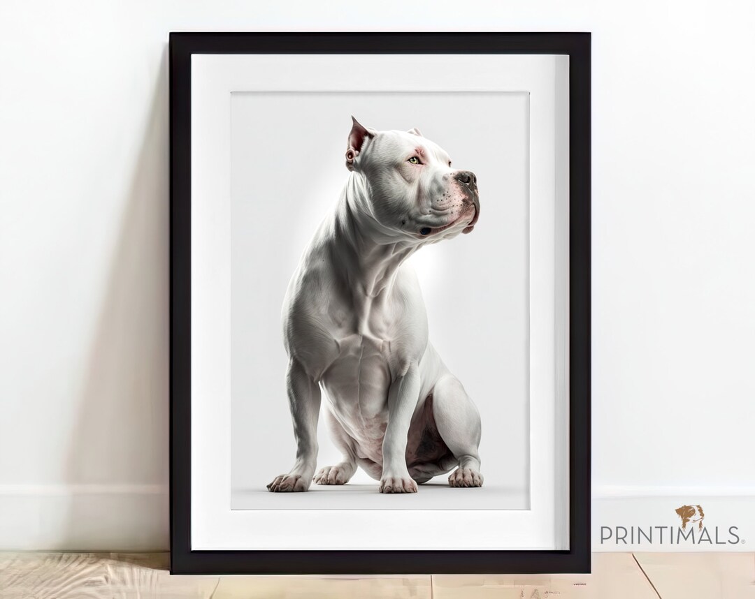 Pitbull Printable, Pitbull Print, Pitbull Poster, Pitbull, Wall Art ...