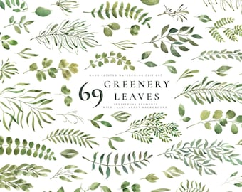 Watercolor Greenery Clipart: Hand-Painted Botanical PNGs for Wedding Design (Digital Download)