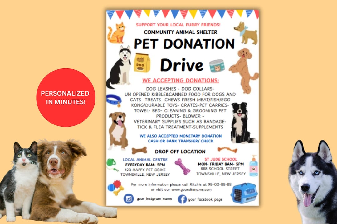 Animal Care Animal Shelters To Visit Near Me Help Shelter Pets Go