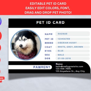 Modello di carta d'identità per animali domestici, stampabile, download immediato