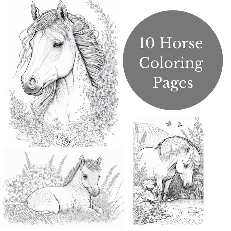 10 Horse Coloring Pages PDF Download High Quality Realistic Fantasy