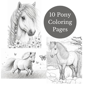 10 Pony Coloring Pages PDF Download High Quality Realistic Shetland Ponies Grayscale Coloring DIY Printable Horses and Ponies image 1