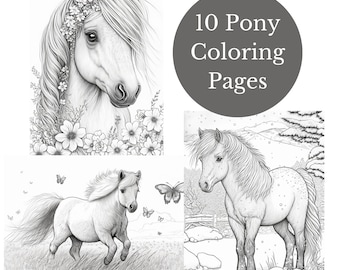 10 Pony Coloring Pages - PDF Download - High Quality Realistic Shetland Ponies Grayscale Coloring - DIY Printable - Horses and Ponies