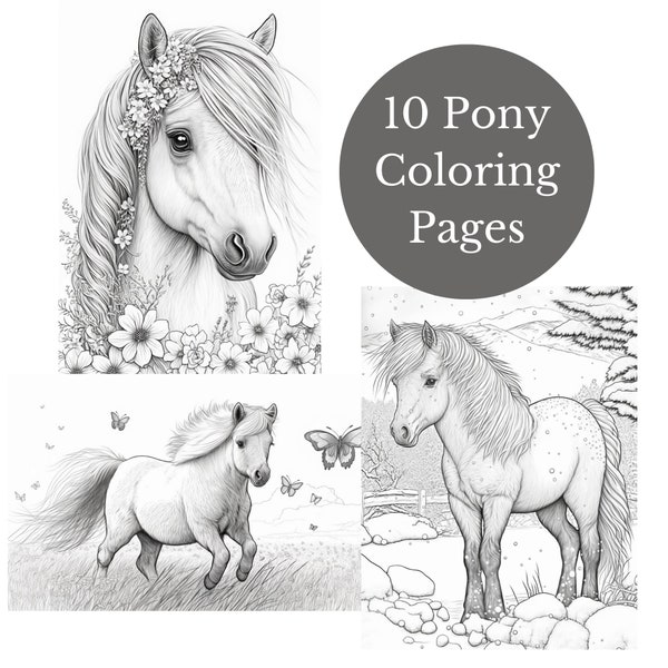 10 pages à colorier de poneys - Téléchargement PDF - Coloriage réaliste de poneys Shetland de haute qualité en niveaux de gris - DIY imprimable - Chevaux et poneys