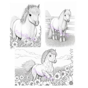 10 Pony Coloring Pages PDF Download High Quality Realistic Shetland Ponies Grayscale Coloring DIY Printable Horses and Ponies image 2