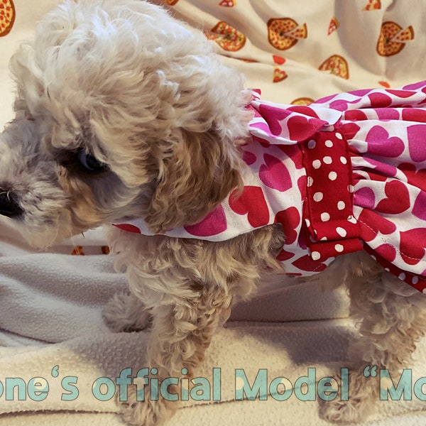 Custom Dog Clothes Etsy