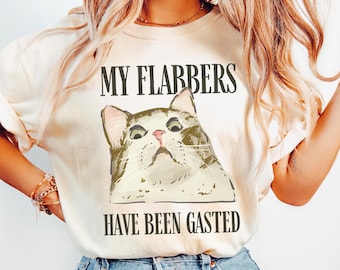 May include: Ivory-colored t-shirt featuring a cat illustration with the text "MY FLABBERS HAVE BEEN GASTED" in black. The cat has a grumpy expression. The shirt is a crew neck style.