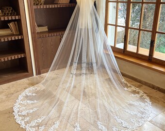 Luxury Lace Trim Cathedral Wedding Veil, Single Layer Bridal Veil, Intricate Beaded Sequined Floral Embroidery, Vintage Baroque Lace Veil