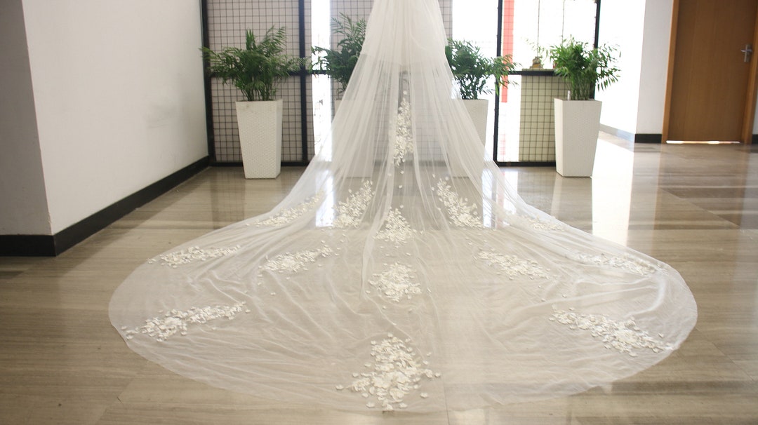 Champagne Wedding Veil Soft Tulle Single Tier Rounded Edge with Gold Bridal Comb