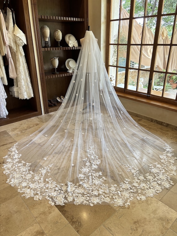 chinese dress ladies Ivory Lace A-Line Wedding Dress with Long Train and Magnificent Veil – Timeless Wedding Gown with Lace Detailing Plus Size Size 22w main image 1