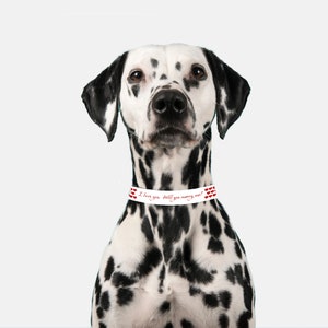 Marriage Proposal  Will you marry me?  Pet Collar Large