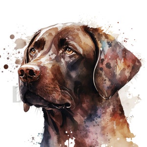 Brauner Labrador Clip Art Aquarell - 12 hochwertige PNG - Brauner Labrador Clipart PNG - Papier basteln - Kartenherstellung - Clip Art Digital
