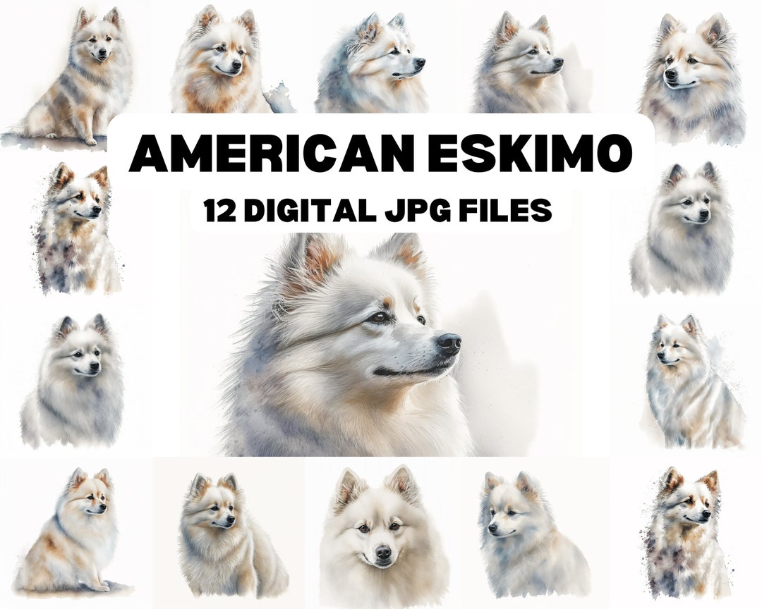 American Eskimo Clipart, 12 Jpgs, Illustration Clipart, Junk Journal