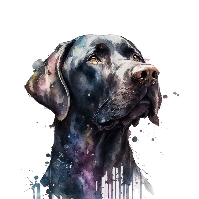 Black Labrador Blank Greetings Card Sincerity By John Trickett B6