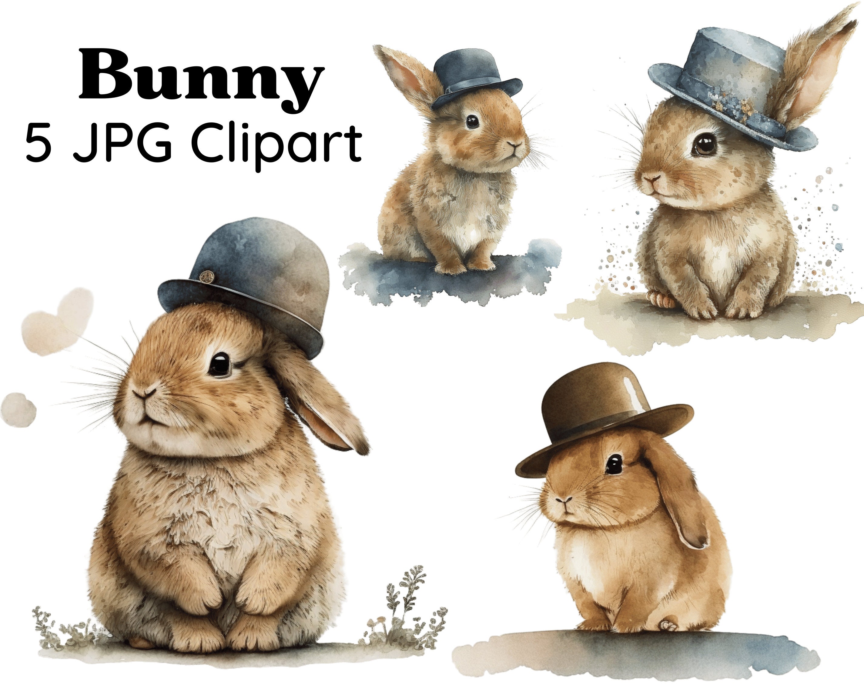 Cute Bunny Clipart 5 Jpgs Funny Rabbit Illustration Clipart - Etsy