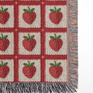 Strawberry Blanket Faux Granny Square Cottagecore Blanket Strawberry Crochet Throw Grandma Sherpa Woven Blanket Coquette Aesthetic Cute Gift image 2