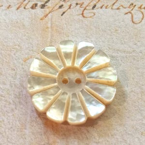 Puede incluir: Botón nacarado en forma de flor, con un diseño central de dos agujeros. Los pétalos del botón irradian hacia afuera, creando un efecto de sol. El botón es probablemente de nácar, con un brillo sutil e iridiscente.