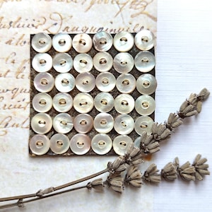 May include: A square grid of thirty-six round, iridescent mother-of-pearl buttons, each featuring two central holes. The buttons are arranged in six rows and six columns on a dark, textured square base, accompanied by dried lavender sprigs.