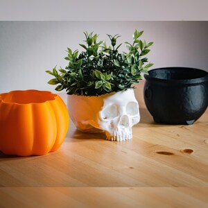 Halloween Planter Pots, Set of Three, with Drainage Holes, Skull, Pumpkin, and Cauldron