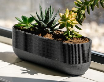 May include: A black, ribbed oval planter with three different types of succulents. The succulents are green, brown, and yellow.